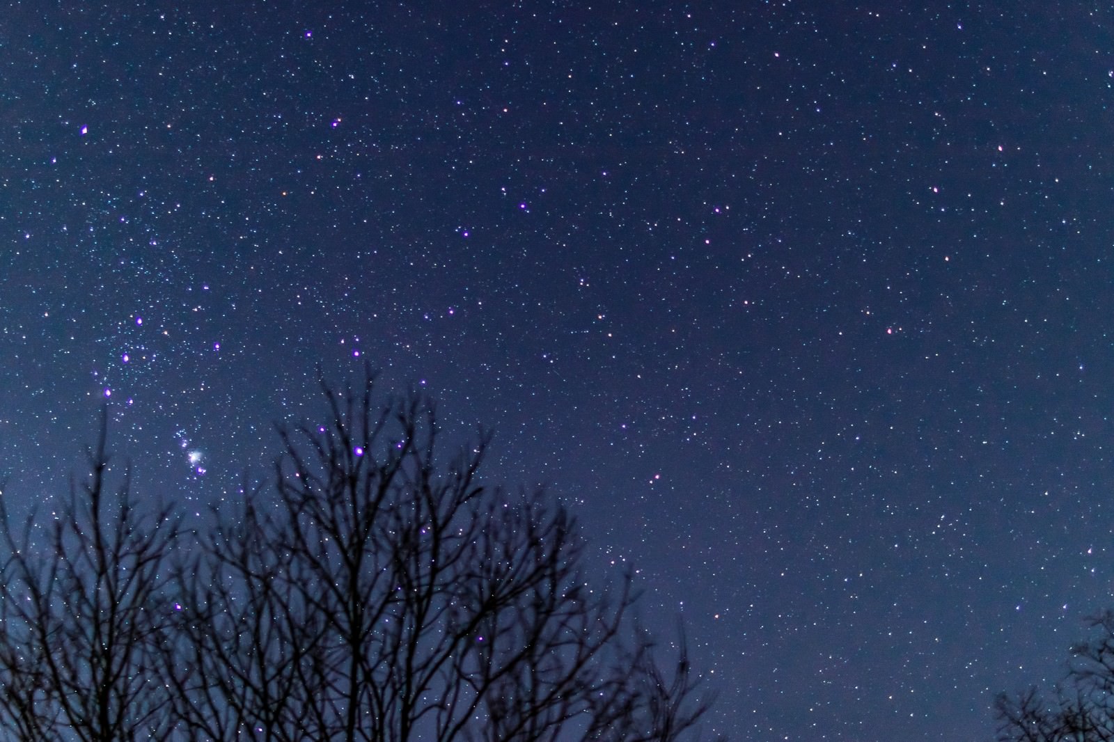 夜空の星