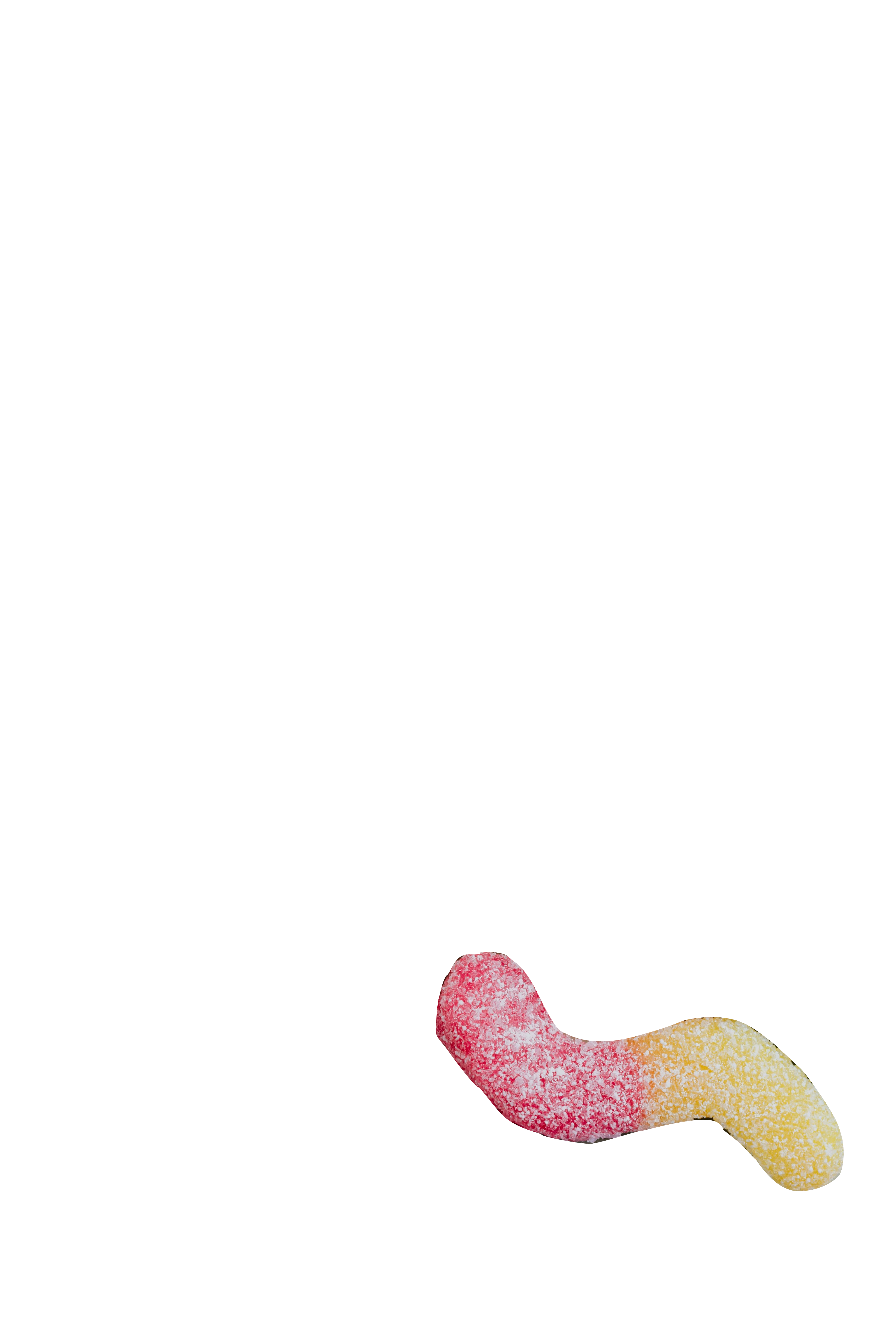 グミ03