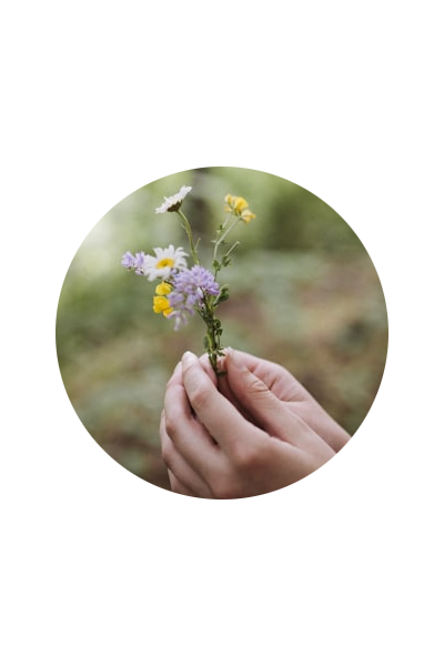 お花の写真
