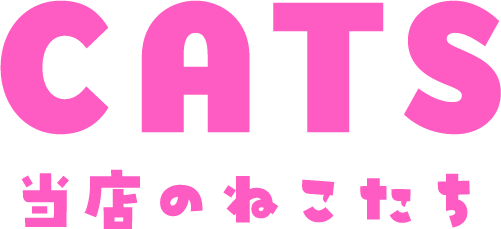 当店のねこたち
