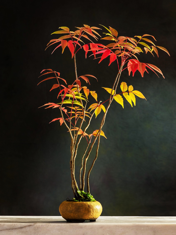 宿内のイメージ画像1