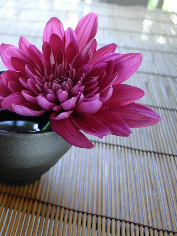 宿内のイメージ画像5