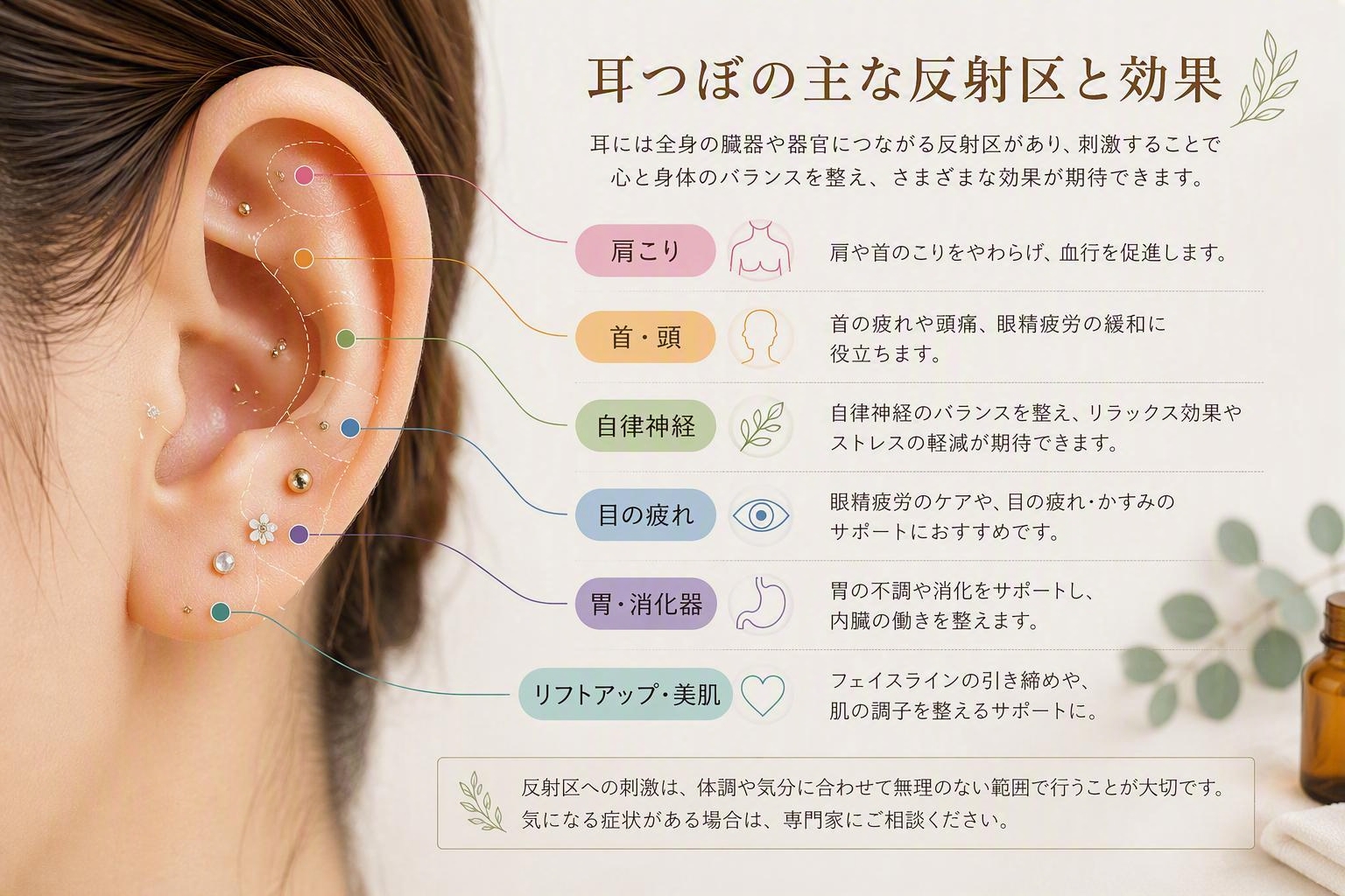 耳つぼの反射区