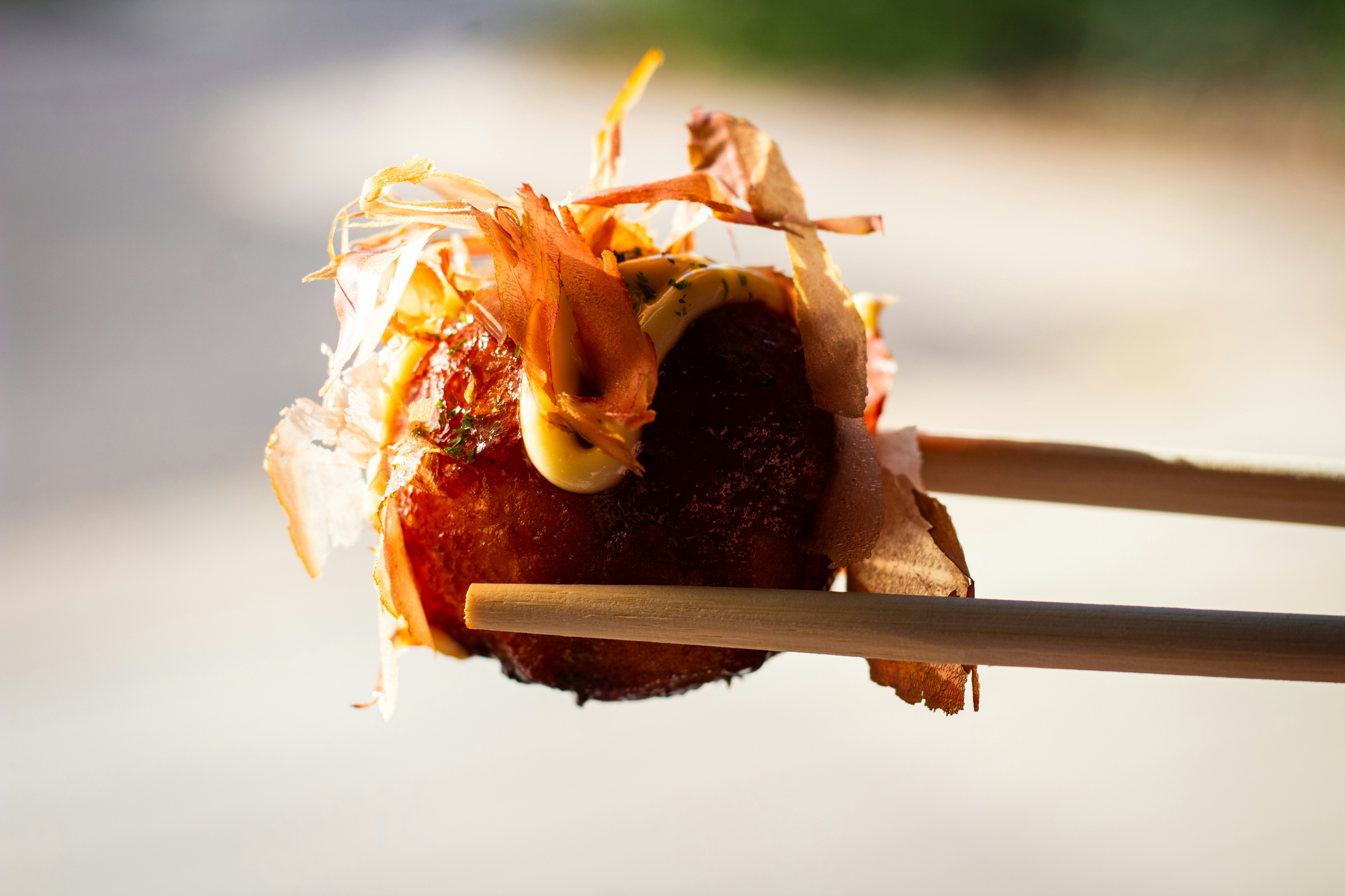 料理写真